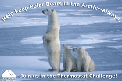 thermostat-challenge-1