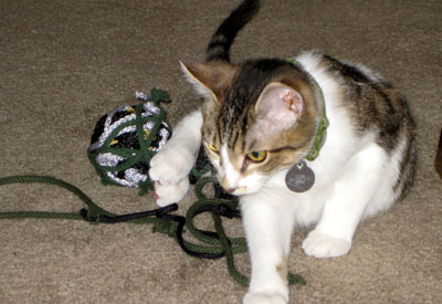 homemade-eco-cat-toy