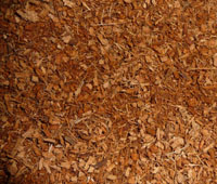 Kitty's Crumble texture