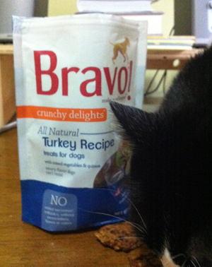 Choco licks and approves Stella's new dog treats. 