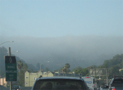 Image by flickr.biofriendly