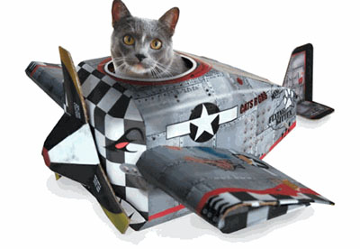 cat-house-play-airplane